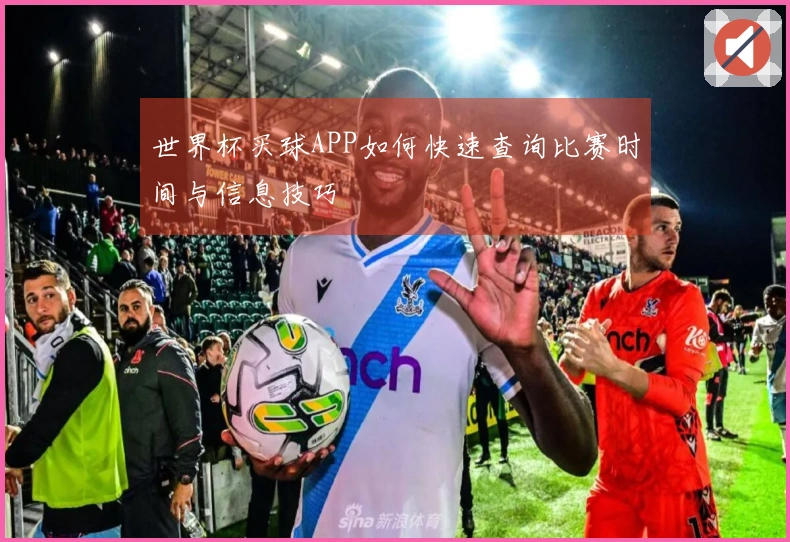 世界杯买球APP如何快速查询比赛时间与信息技巧