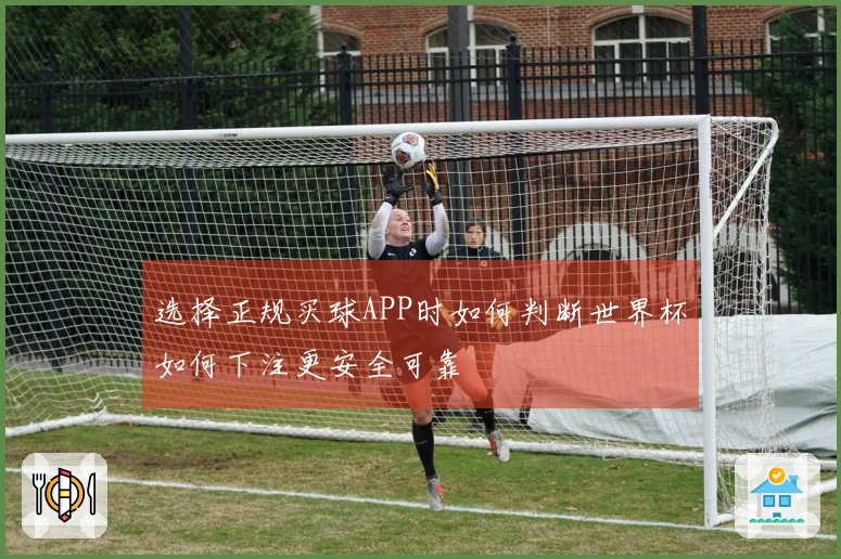 选择正规买球APP时如何判断世界杯如何下注更安全可靠