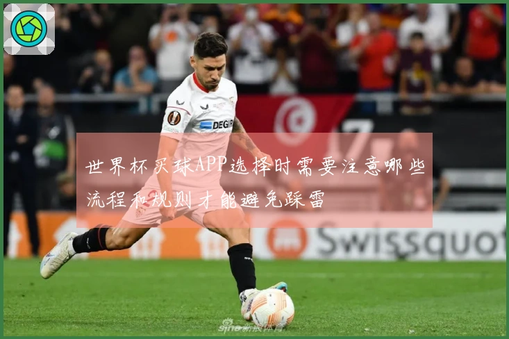 世界杯买球APP选择时需要注意哪些流程和规则才能避免踩雷