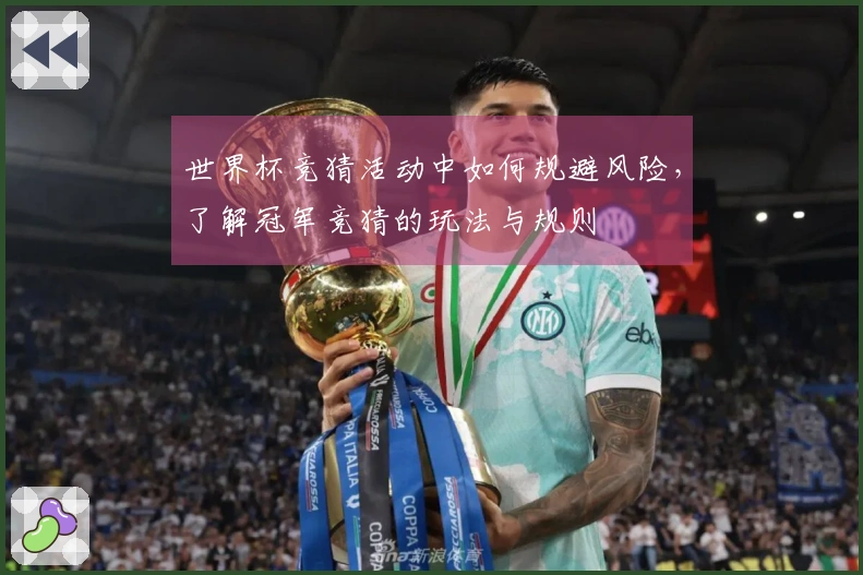 世界杯竞猜活动中如何规避风险，了解冠军竞猜的玩法与规则