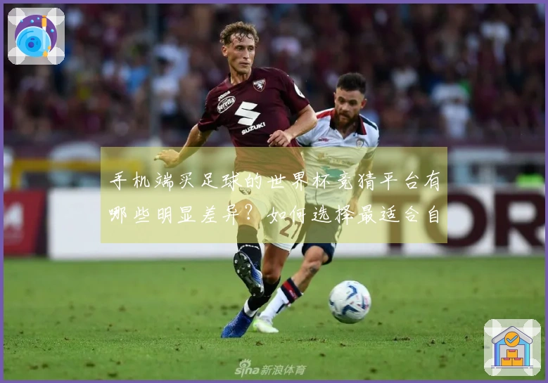 手机端买足球的世界杯竞猜平台有哪些明显差异？如何选择最适合自己的？