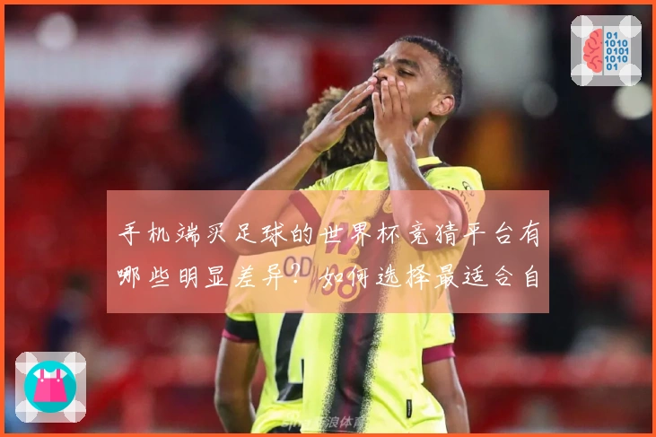 手机端买足球的世界杯竞猜平台有哪些明显差异？如何选择最适合自己的？