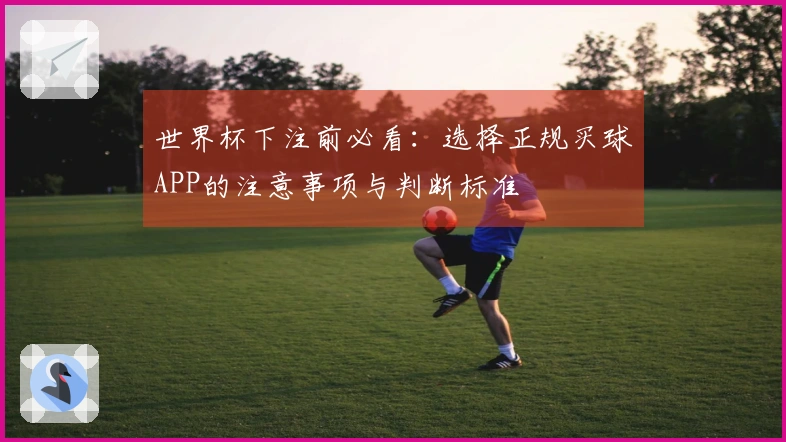 世界杯下注前必看：选择正规买球APP的注意事项与判断标准
