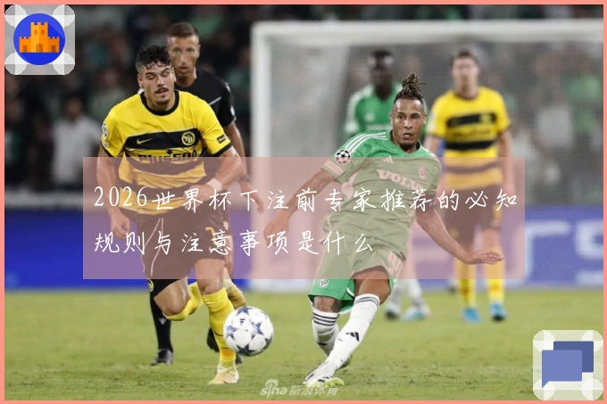 2026世界杯下注前专家推荐的必知规则与注意事项是什么