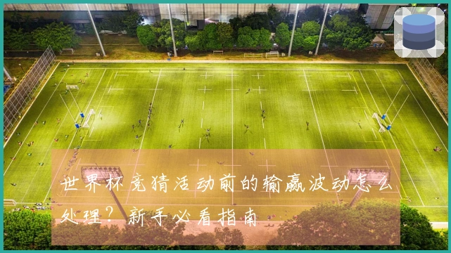 世界杯竞猜活动前的输赢波动怎么处理？新手必看指南
