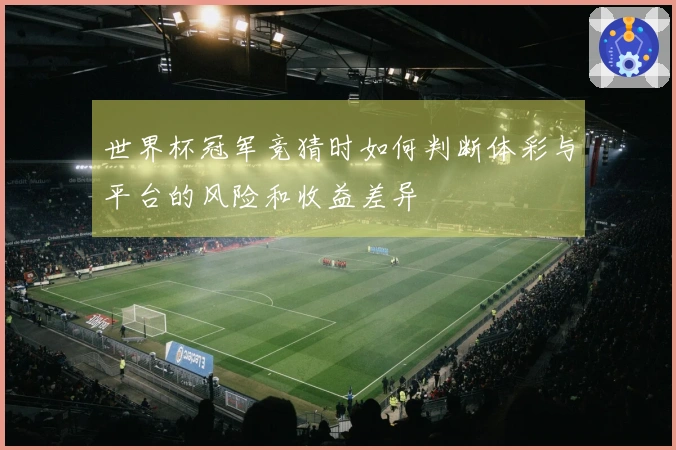 世界杯冠军竞猜时如何判断体彩与平台的风险和收益差异