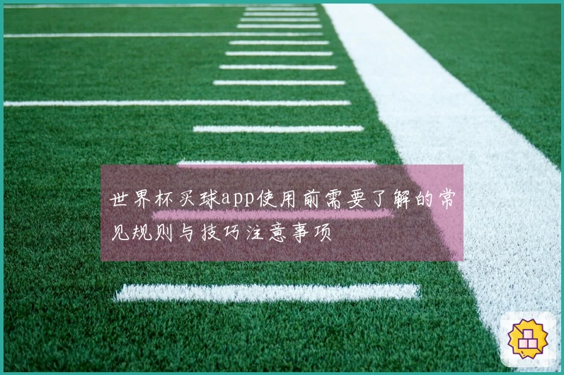 世界杯买球app使用前需要了解的常见规则与技巧注意事项