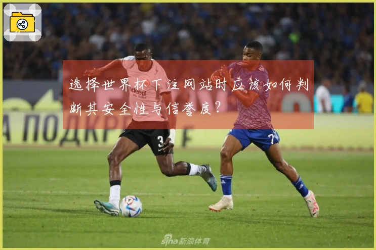 选择世界杯下注网站时应该如何判断其安全性与信誉度？