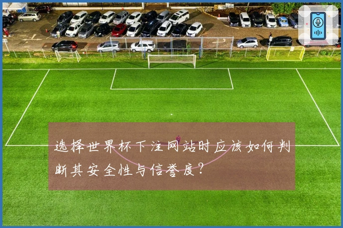 选择世界杯下注网站时应该如何判断其安全性与信誉度？