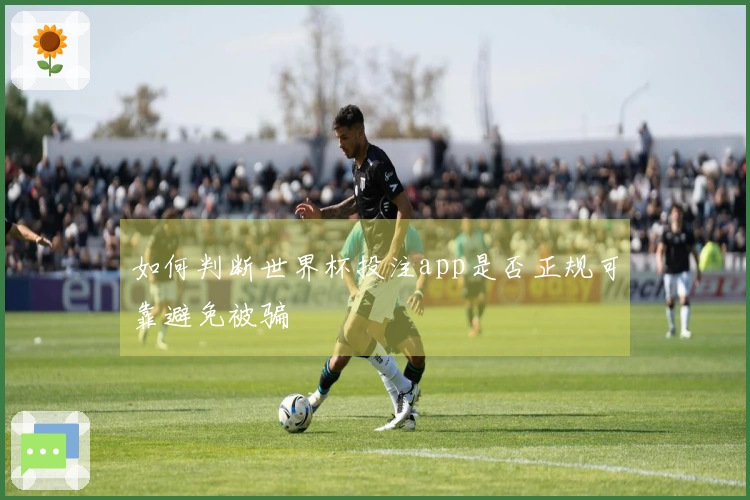 如何判断世界杯投注app是否正规可靠避免被骗