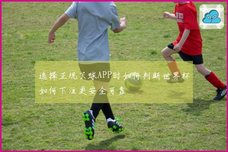 选择正规买球APP时如何判断世界杯如何下注更安全可靠
