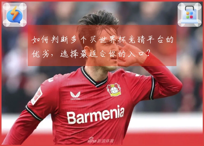 如何判断多个买世界杯竞猜平台的优劣，选择最适合你的入口？