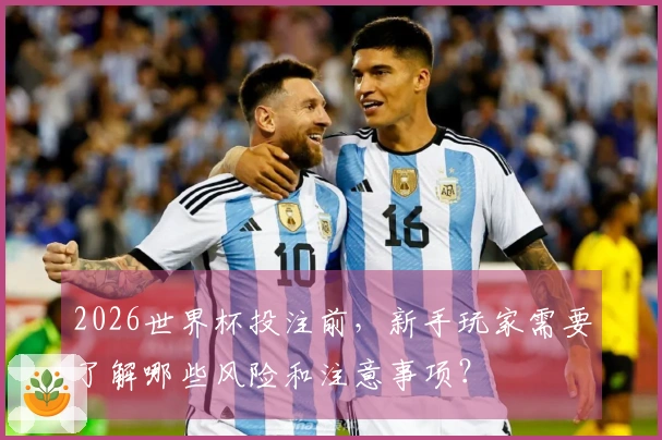 2026世界杯投注前，新手玩家需要了解哪些风险和注意事项？
