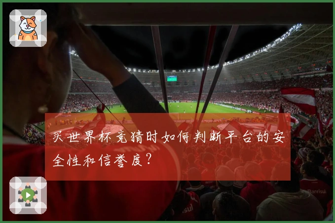 买世界杯竞猜时如何判断平台的安全性和信誉度？