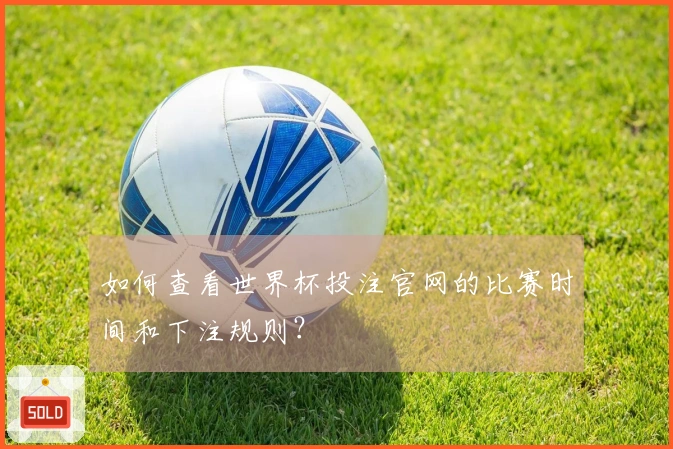 如何查看世界杯投注官网的比赛时间和下注规则？