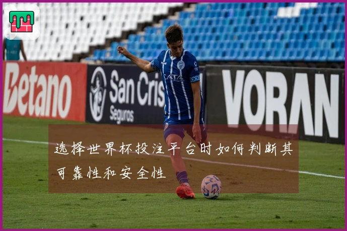 选择世界杯投注平台时如何判断其可靠性和安全性